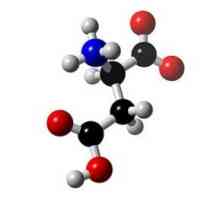 Аминокиселините - специални органични съединения