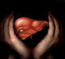 Хемангиоми на черния дроб - какво е това и как се лекува?