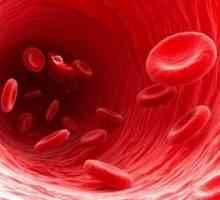 Както свързан кръвна група на децата и родителите? Правила за предаването на наследствени