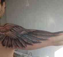 Крилата на рамото: татуировка, която отговаря на всички