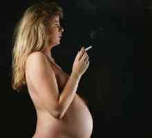Възможно ли е да се пуши по време на бременност, както и дали то е вредно за плода?
