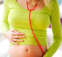 Определяне на пола на бебето на сърцебиенето и урината