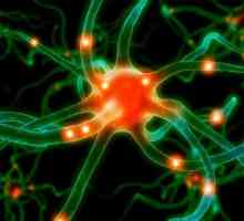 Защо има неврит на троичния нерв? Симптоми и лечение на болестта