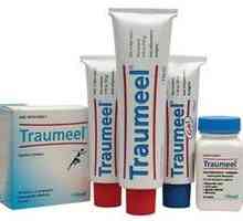 Лекарствената "Traumeel" (маз). Инструкции за употреба