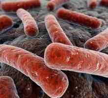 Причини и основните характеристики на белодробна туберкулоза при възрастни