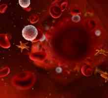 AB0 система и наследството на кръвни групи при хора