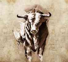 Татуировка "бик": историята на характера и съвременния смисъл