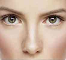 "Виши идеал" за очите: Отзивите на клиентите. Колко ефективни крем за кожата около очите…