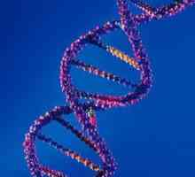 Взаимодействие nonallelic видове гени и форми