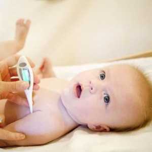 Какви са симптомите на стафилококус ауреус при бебетата?