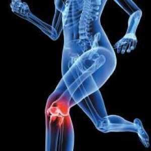 Ставата на коляното. Сухожилие разкъсване: степента на увреждане и лечения