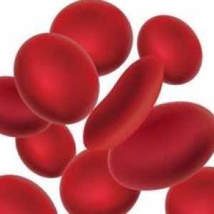 Какво мога да кажа повишена на червените кръвни клетки в кръвта
