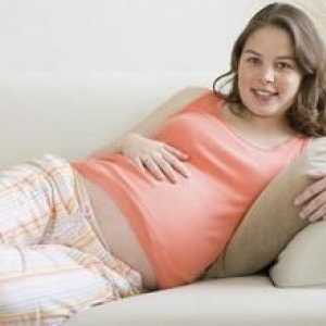 Ние определяме пола на детето: признаци на бременност момче и момиче