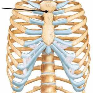 Гръдната кост пункция: техника, производителност, указания и усложнения