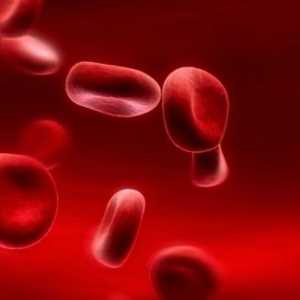 Нивото на хемоглобина в кръвта: норма и патология