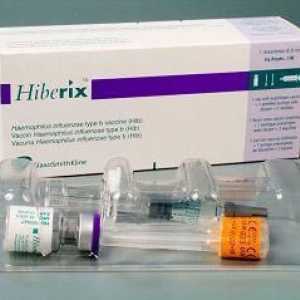 Ваксината "hiberiks" Това, което трябва да знаете, преди ваксинация