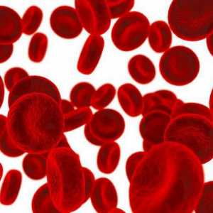 Заболявания на кръвта: списък на най-опасните
